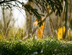 Cultivation: ਇਦਾਂ ਕਿਸਾਨ ਲੈਣ ਫਸਲ ਸਿੰਚਾਈ ਸਕੀਮ ਦਾ ਲਾਭ, ਮਿਲਦੀ ਹੈ ਸਬਸਿਡੀ