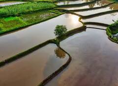 Cultivation: ਇਦਾਂ ਕਿਸਾਨ ਲੈਣ ਫਸਲ ਸਿੰਚਾਈ ਸਕੀਮ ਦਾ ਲਾਭ, ਮਿਲਦੀ ਹੈ ਸਬਸਿਡੀ