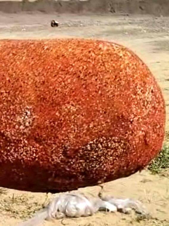 राम मंदिर के लिए बनी इस 3428 किलो वजनी अगरबत्ती में क्या है खास