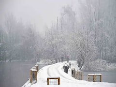 ठंड से बचने के लिए सरकार की तरफ से क्या इंतजाम होते हैं, क्या हर शहर में अलग होती है स्कीम?