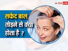 एक-एक सफेद बाल तोड़ने सफेद हो जाएंगे सभी बाल, जानें इस बात में कितनी सच्चाई