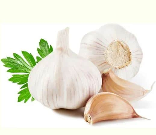 सध्या लसणाच्या दरात (Garlic Prices) चांगलीच वाढ झाली आहे.  गेल्या काही आठवड्यात देशातील किरकोळ बाजारात लसणाचे दर प्रतिकिलो 300 ते 400 रुपयांवर पोहोचले आहेत.