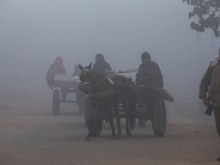 Weather Update Today 23 dec up IMD Forecast lucknow, noida, meerut Ka Mausam UP Weather Today: यूपी में घने कोहरे और सर्दी ने किया परेशान, अयोध्या में सबसे सर्द रही रात, जानें- आपके शहर का मौसम