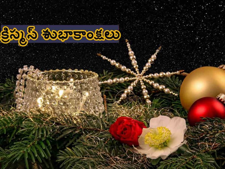 Merry Christmas 2023 Wishes In Telugu Quotes Messages WhatsApp Status To share on Xmas new year 2024 Wishes In Telugu Merry Christmas 2023 Wishes In Telugu : ఈ కోట్స్ తో క్రిస్మస్ శుభాకాంక్షలు చెప్పేయండి!