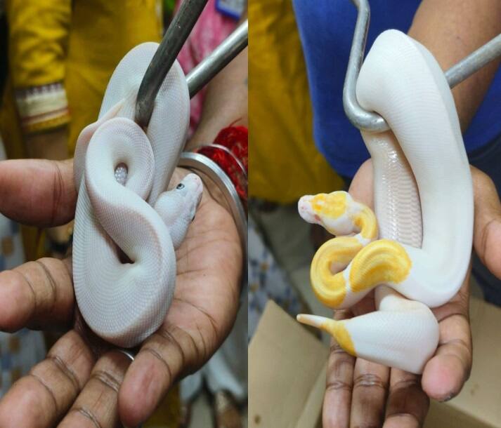 તમામ તસવીર સૌજન્યઃ ANI