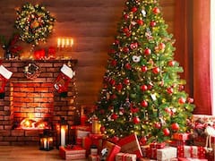 क्रिसमस ट्री वाले पेड़ को हिंदी में क्या कहते हैं