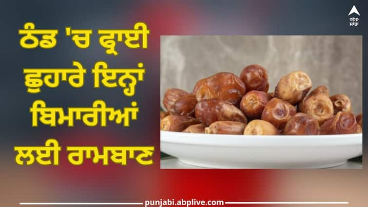 Fry Chhuhara Dry Dates and eat, you will get relief from cold diseases trending topic health news Dry Dates: ਫ੍ਰਾਈ ਕਰਕੇ ਖਾਓ ਛੁਹਾਰੇ, ਠੰਡ 'ਚ ਹੋਣ ਵਾਲੀਆਂ ਬਿਮਾਰੀਆਂ ਤੋਂ ਮਿਲੇਗੀ ਰਾਹਤ