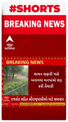 Rajkot | લાયન સફારી પાર્ક માટે મનપાએ આપી દીધી મંજૂરી, જુઓ શોર્ટ વીડિયો