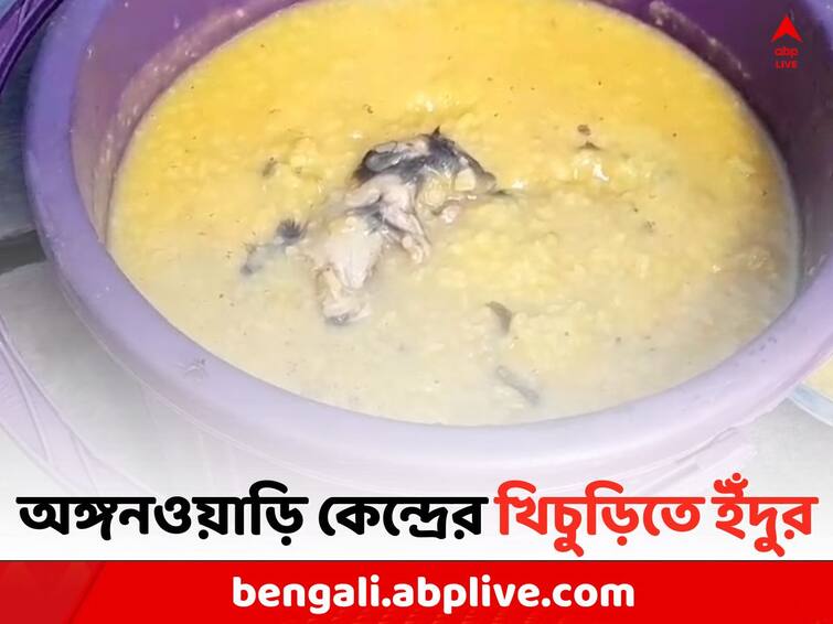 Birbhum Local News:  Rat has been found in Anganwadi Centre s Food Birbhum News: বীরভূমের অঙ্গনওয়াড়ি কেন্দ্রের খিচুড়িতে মিলল ইঁদুর