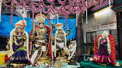‘தென்னக அயோத்தி’ வடுவூர் கோதண்டராமசுவாமி கோயில் வைகுண்ட ஏகாதசி புகைப்படங்கள்!