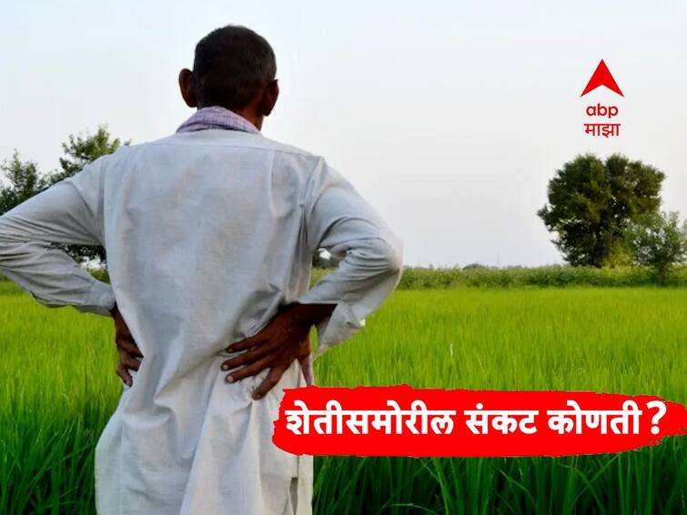 Farmers agriculture 7 major crises facing the farmers in India National Farmers Day 2023 abpp शेतमालाचे दर ते सरकारचे धोरण, 'ही' आहेत शेतीसमोरील 7 मोठी संकटं?