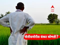 शेतमालाचे दर ते सरकारचे धोरण, 'ही' आहेत शेतीसमोरील 7 मोठी संकटं?