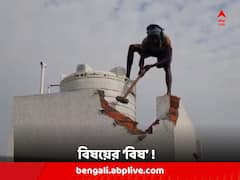 মামলা-মোকদ্দমা, খুনোখুনির 'কারণ', বাঁকুড়ায় বাবা-ছেলে খুনে অভিযুক্তের সেই বাড়ি ভাঙা শুরু