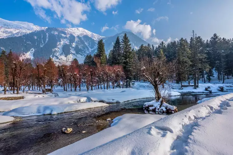 Kashmir winter: ਕਸ਼ਮੀਰ ਵਿੱਚ ਸਰਦੀਆਂ ਦੇ ਹੁੰਦੇ ਨੇ ਤਿੰਨ ਮੌਸਮ, ਇਸ ਦੇ ਪਿੱਛੇ ਕੀ ਹੈ ਅਸਲ ਕਹਾਣੀ 