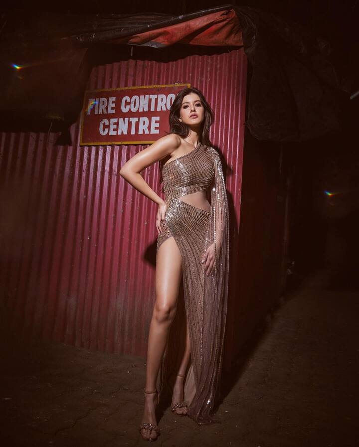 શનાયાએ તેની કેટલીક લેટેસ્ટ તસવીરો ઈન્સ્ટાગ્રામ પર શેર કરી છે, જેમાં તેનો ખૂબ જ ગ્લેમરસ અવતાર જોવા મળી રહ્યો છે.