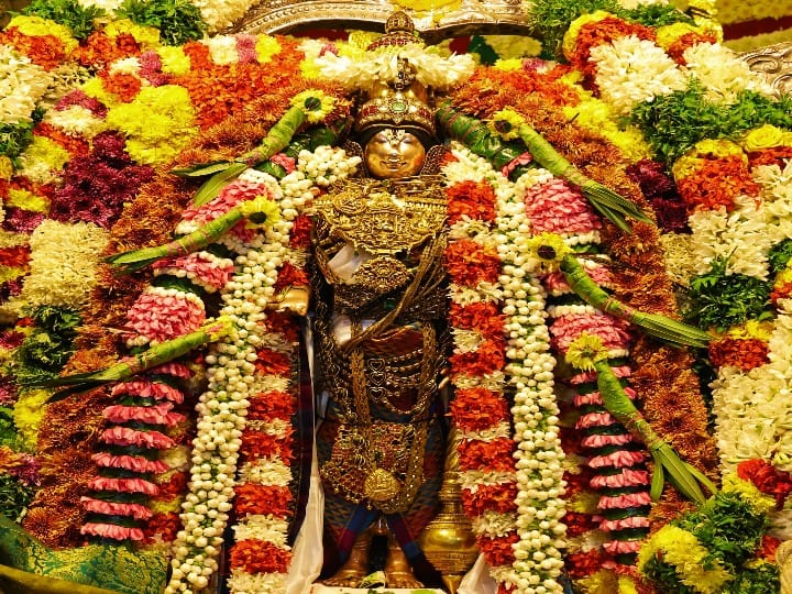 Vaikunta Ekadasi: சொர்க்கவாசல் வழியாக வந்த பெருமாளை அழைத்த நம்மாழ்வார்; கோவிந்தா கோஷமிட்ட பக்தர்கள்