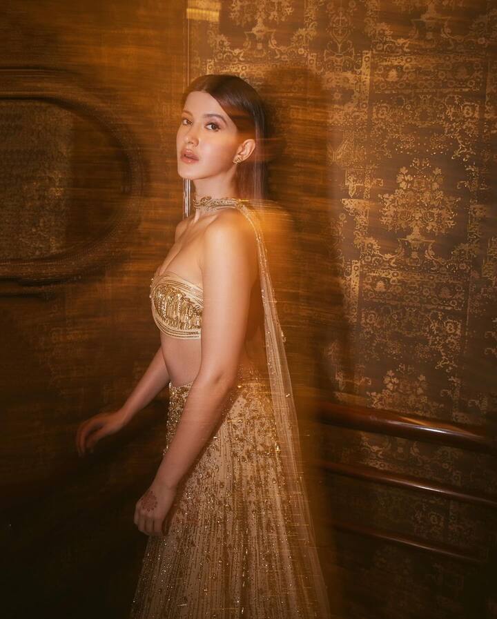 It's an embroidered gold set with a net dupatta, a statement blouse, and a lehenga skirt.