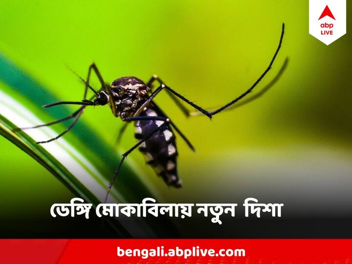 Simple Blood Test Can Tell The State Of Dengue Affected Doctor Arunansu Talukdar Of Kolkata Medical College Invented Dengue : ডেঙ্গি মোকাবিলায় নতুন দিগন্ত খুলে দিচ্ছে এই রক্তপরীক্ষা