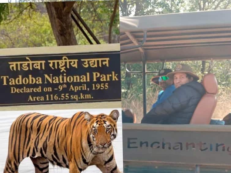 Sachin Tendulkar Visited Tadoba Andhari Tiger Reserve for the Third Time With His Wife And Friends Chandrapur News : क्रिकेटचा देव सचिन तेंडुलकर ताडोबाच्या प्रेमात; वर्षभरात तिसऱ्यांदा दिली व्याघ्र प्रकल्पाला भेट