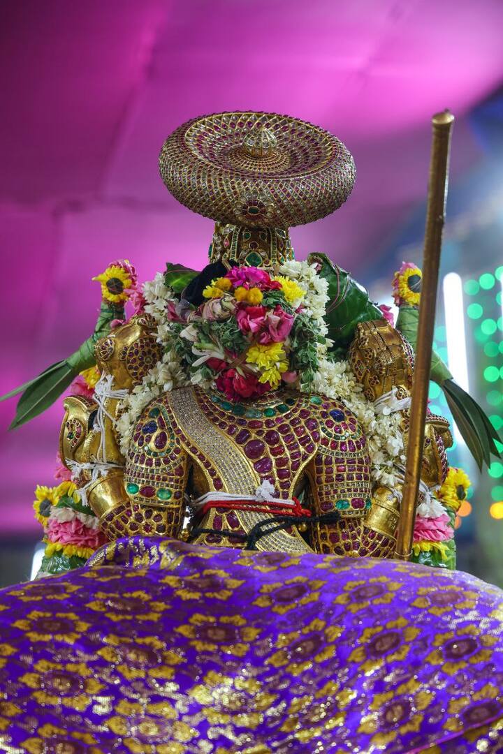 பல்வேறு அலங்காரத்தில் நம்பெருமாள் பின் தோற்றம்