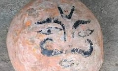 Dinosaur Eggs: পাঁঠাবলি থেকে ভোগ বিতরণ, বাদ ছিল না কিছু, ডায়নোসরের ডিমকে কুলদেবতা ভেবে পুজো, ভুল ভাঙল এতদিনে