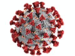 JN.1 Covid variant : कोरोनाच्या नव्या व्हेरियंट झपाट्याने वाढत आहे, भीती बाळगू नका, ही खबरदारी घ्या!