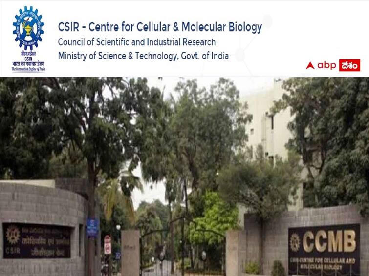 CSIR-CCMB has released notification for the recruitment of Technical Posts CSIR-CCMB: సీఎస్ఐఆర్- సీసీఎంబీ హైదరాబాద్‌లో 24 టెక్నికల్ పోస్టులు