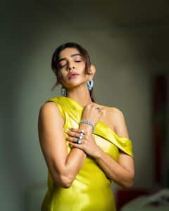 Manchu Lakshmi : డిస్నీ ప్రిన్సెస్​లా మురిసిపోతున్న మంచు లక్ష్మీ