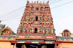 Vaikuntha Ekadashi 2023 : கோழிகுத்தி வானமுட்டி பெருமாள் கோயிலில் சொர்க்கவாசல் திறப்பு!