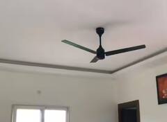 Fans: ਘਰ ‘ਚ ਲੱਗੇ ਪੱਖੇ ‘ਚ ਹਮੇਸ਼ਾ ਤਿੰਨ ਹੀ ਬਲੇਡ ਕਿਉਂ ਹੁੰਦੇ? ਜਾਣੋ ਜਵਾਬ