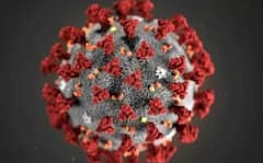 Coronavirus Cases in India: કોરોનાના નવા વેરિઅન્ટથી બચવુ હોય તો આ રીતે કરી ઈમ્યુનિટીને સ્ટ્રોંગ
