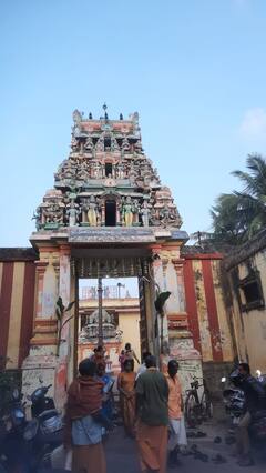 Vaikunta Ekadasi 2023 : தஞ்சை நாலுகால் மண்டபம் பிரசன்ன வெங்கடேச பெருமாள் கோயிலில் குவிந்த பக்தர்கள்!