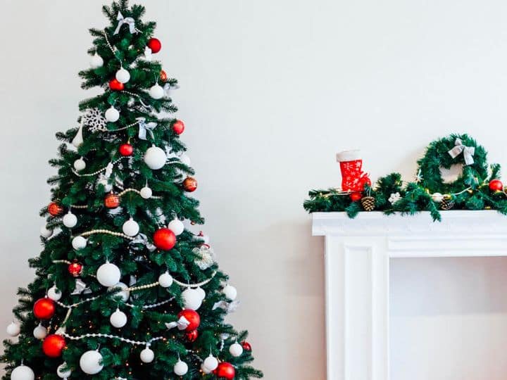 दिसंबर का महीना चल रहा है नया साल आने वाला है. नए साल को पूरी दुनिया में धूमधाम से मनाया जाता है. लेकिन नए साल से पहले एक त्यौहार होता है क्रिसमस. ईसाई देशों में यह तो हर साल नए साल के जश्न से भी ज्यादा धूमधाम से मनाया जाता है.