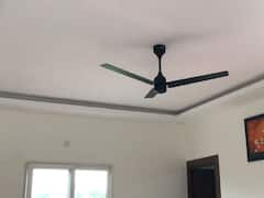 घर में लगे पंखों में हमेशा तीन ही ब्लेड क्यों होते हैं, ये रहा जवाब