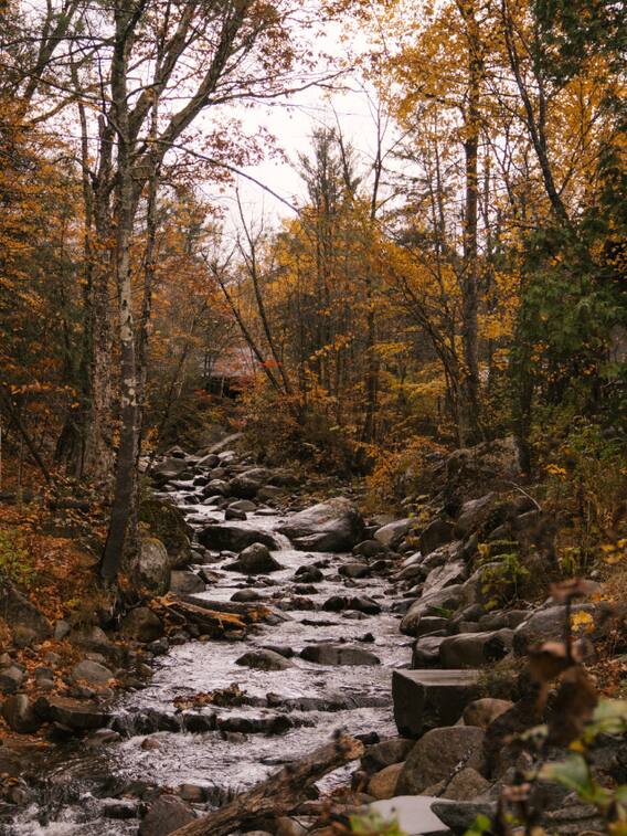 ये है दुनिया की वो नदी जिसमें पत्थर बहते हैं