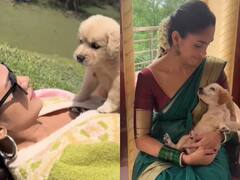 Mrunal Thakur : செல்லப்பிராணியை கொஞ்சி விளையாடும் அழகு நடிகை மிருனாள் தாக்கூர்..!