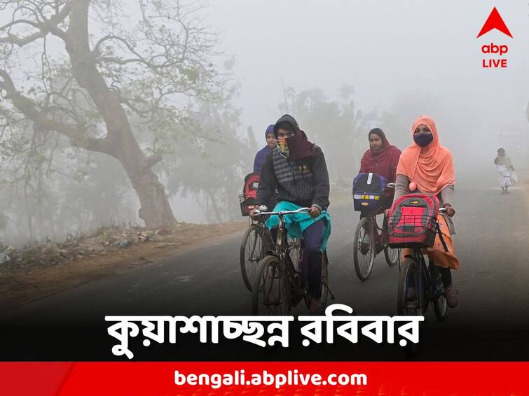 West Bengal Weather Forecast Fog from Kolkata to various part of the state Weather Update: উধাও শীতের আমেজ,  কুয়াশাচ্ছন্ন পৌষের সকালে ঊর্ধ্বমুখী পারদ