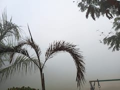 कोटा में छाया घना कोहरा, विजिबिलिटी हुई कम, सड़कों पर रेंगती नजर आ रही गाड़ियां