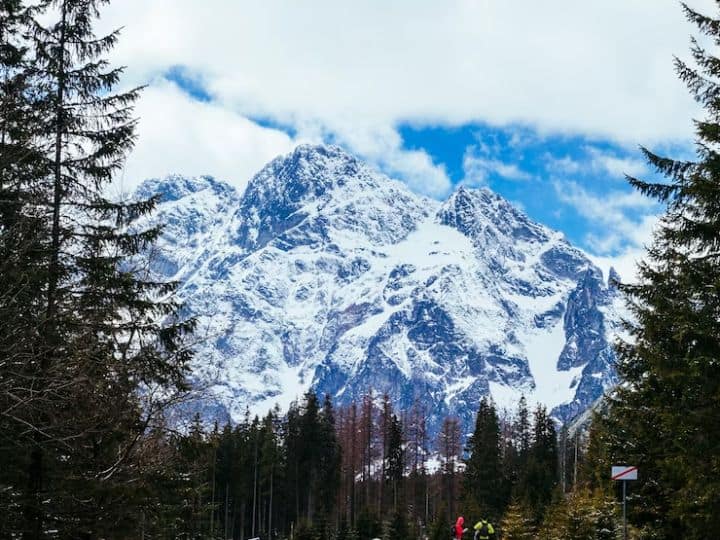 जम्मू और कश्मीर के उधमपुर जिले में स्थित पटनीटॉप को सर्वोत्तम बर्फबारी का माना जाता है. यहां हर तरफ सफेद बर्फ देखकर आपको ऐसा लगेगा कि आप स्वर्ग में आ गए हो.