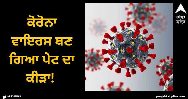 experts fears corona morphed into stomach bug as cases hike Viral News: ਕੋਰੋਨਾ ਵਾਇਰਸ ਬਣ ਗਿਆ ਪੇਟ ਦਾ ਕੀੜਾ! ਹੁਣ ਲੋਕਾਂ ਦੇ ਪਾਚਨ ਤੰਤਰ 'ਤੇ ਕਰ ਰਿਹਾ ਹਮਲਾ