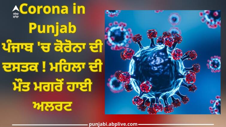 Corona in Punjab: High alert after death of woman, new guidelines necessary punjab news Corona in Punjab: ਪੰਜਾਬ 'ਚ ਕੋਰੋਨਾ ਦੀ ਦਸਤਕ ! ਮਹਿਲਾ ਦੀ ਮੌਤ ਮਗਰੋਂ ਹਾਈ ਅਲਰਟ, ਨਵੀਆਂ ਗਾਈਡਲਾਈਨਜ਼ ਜ਼ਰੂਰੀ