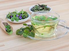 Drink Herbal Tea For Immunity : हर्बल टी हिवाळ्यात आरोग्यासाठी गुणकारी; हर्बल टीच्या सेवनाने प्रतिकारशक्तीसह भरपूर ऊर्जा मिळते.