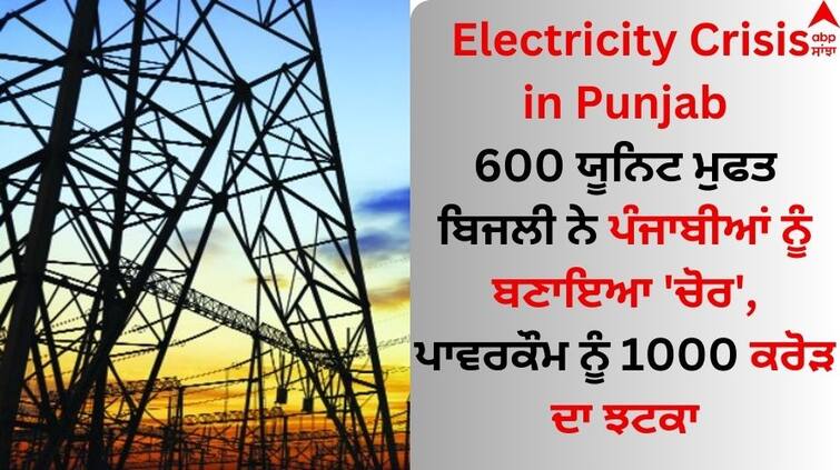 Electricity Crisis in Punjab Power stolen to keep meter reading below 600 for zero bill Electricity Crisis in Punjab: 600 ਯੂਨਿਟ ਮੁਫਤ ਬਿਜਲੀ ਨੇ ਪੰਜਾਬੀਆਂ ਨੂੰ ਬਣਾਇਆ 'ਚੋਰ', ਪਾਵਰਕੌਮ ਨੂੰ 1000 ਕਰੋੜ ਦਾ ਝਟਕਾ