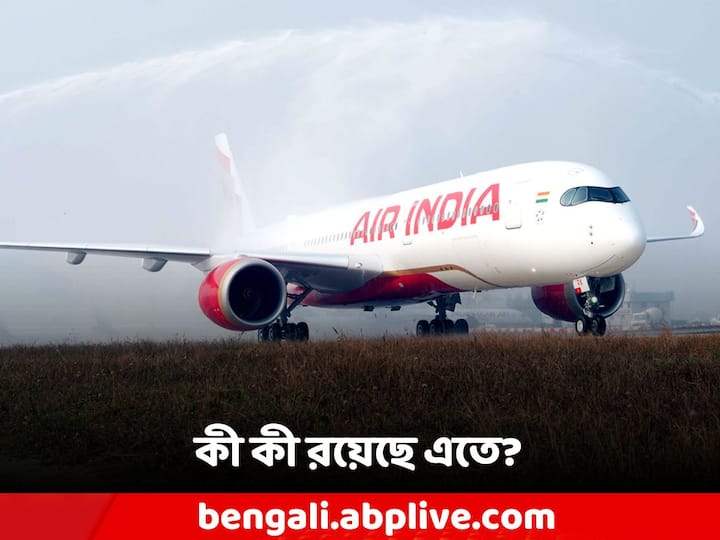 Air India Flight:সংস্থা সিইও এবং এমডি ক্যাম্পবেল উইলসন এটিকে বিমানসংস্থার কর্মীদের জন্য একটি স্মরণীয় দিন হিসেবে বর্ণনা করেছেন