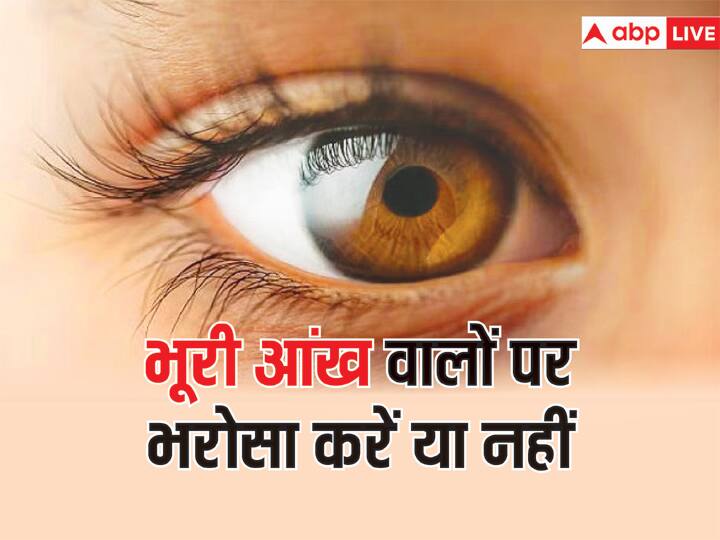 people with brown eyes should not be trusted is it true or not क्यों कहा जाता है, भूरी आंखों वाले लोगों पर भरोसा नहीं करना चाहिए
