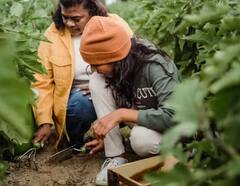 Agriculture: ਸਰਦੀਆਂ 'ਚ ਘਰ ਦੇ ਪੌਦਿਆਂ ‘ਚ ਪਾਓ ਇਹ ਖਾਦ, ਖਰਾਬ ਨਹੀਂ ਹੋਵੇਗੀ ਬਾਗਬਾਨੀ