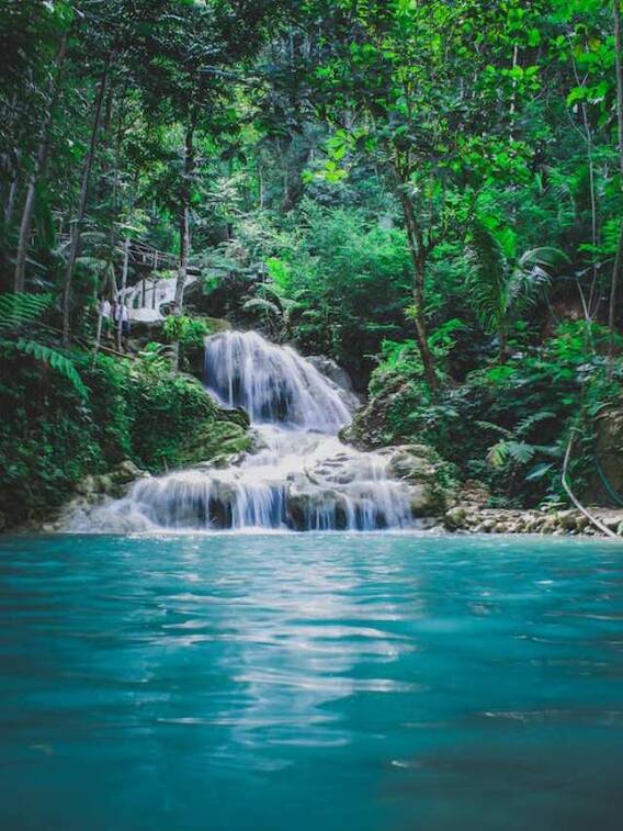 'झारखंड' शब्द का क्या होता है मतलब? जानें मजेदार बातें