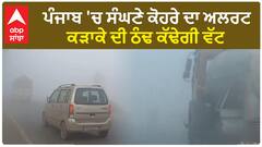 Punjab Weather Update| ਪੰਜਾਬ 'ਚ ਸੰਘਣੇ ਕੋਹਰੇ ਦਾ ਅਲਰਟ, ਕੜਾਕੇ ਦੀ ਠੰਢ ਕੱਢੇਗੀ ਵੱਟ