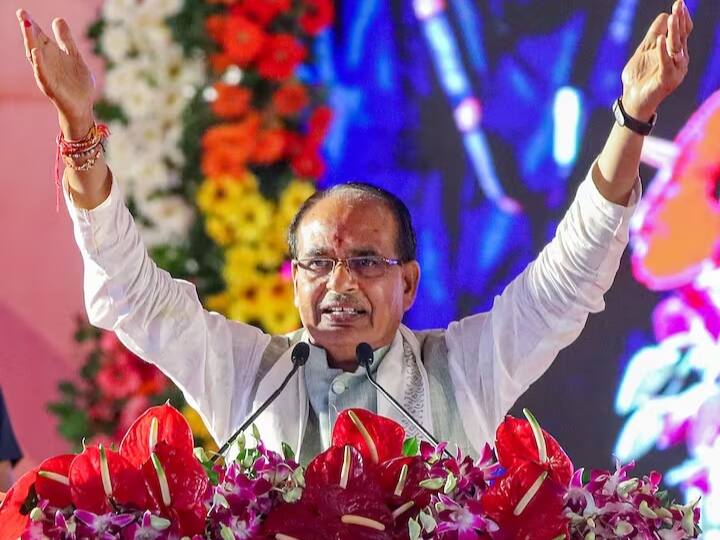 एबीपी न्यूज़ के लिए सी-वोटर ने एक ओपिनियन पोल किया है. इस ओपिनियन पोल में लोगों से यह पूछा गया कि शिवराज सिंह चौहान और वसुंधरा राजे को सीएम नहीं बनाने का बीजेपी का फैसला सही या गलत?