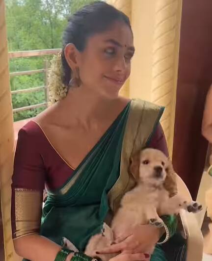 சமீபத்தில் நானியுடன் இணைந்து ஹாய் நான்னா திரைப்படம் வெளியானது.